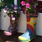 Startseite | KiTas der GdG St. Marien Baesweiler